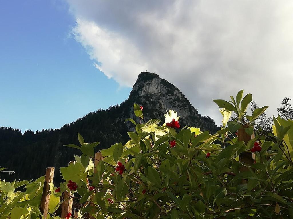 'Sissi' Ein Zaubehaftes Apartement Im Modernen Landhausstil Oberammergau Exterior photo